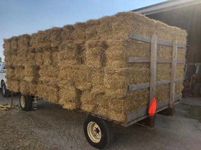 Beautiful golden straw bales at Bitter Sweet Knolls